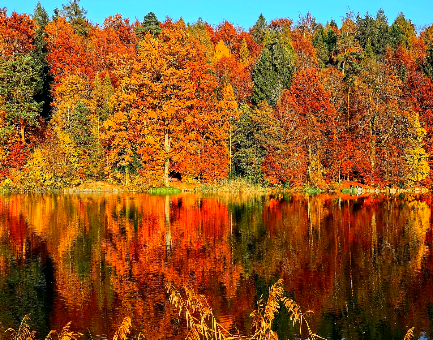 Baltic nature — forests, lakes and countryside